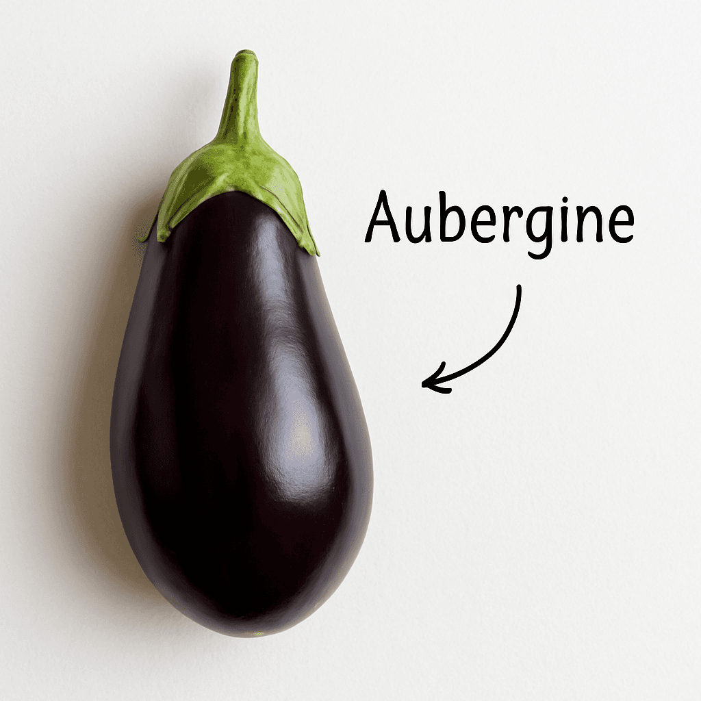 Aubergine