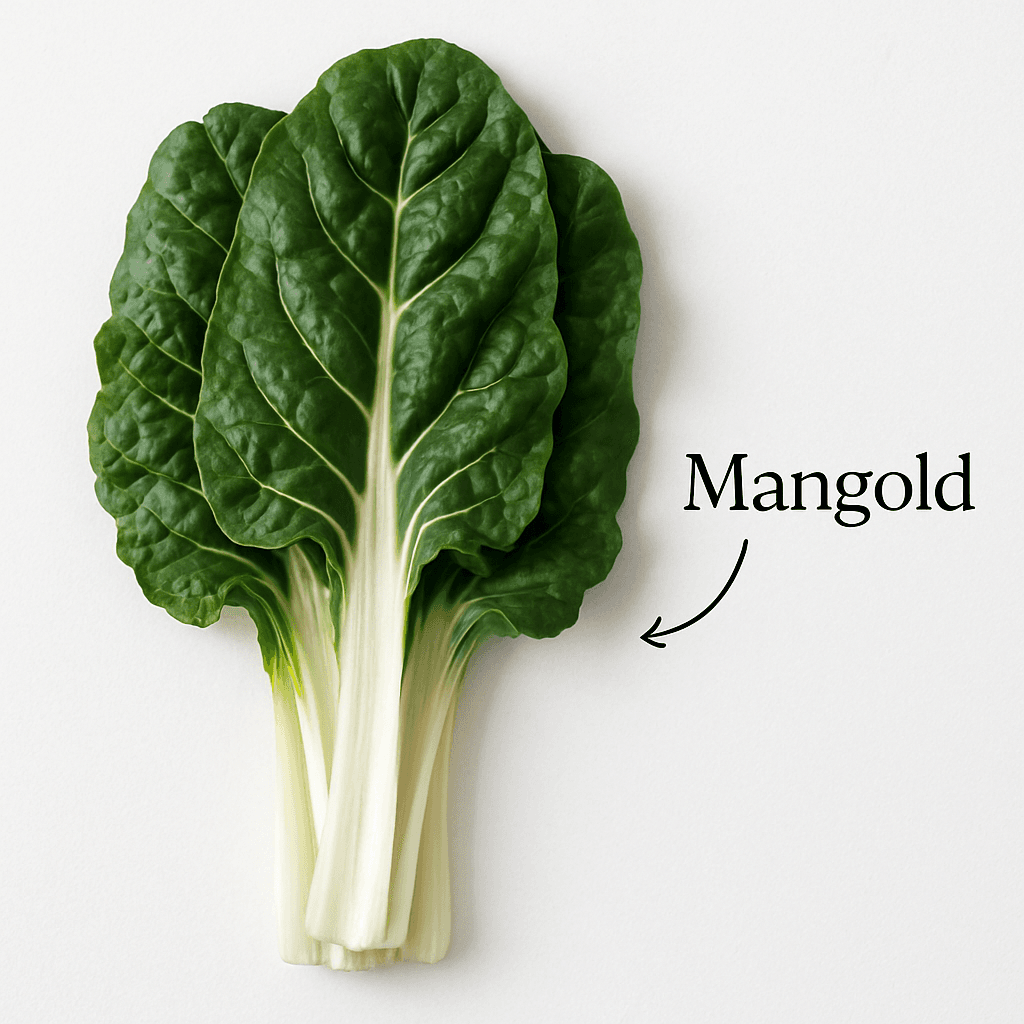 Mangold