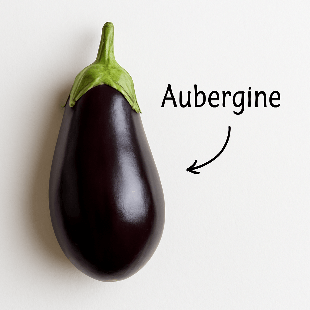 Aubergine